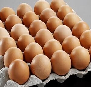 Medium Table Eggs (Crated)