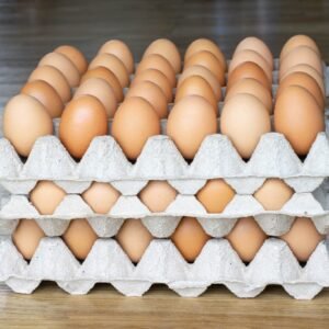 Fresh Table Eggs (Large)